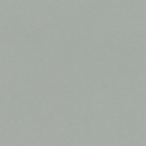 Tapete Rasch 527032